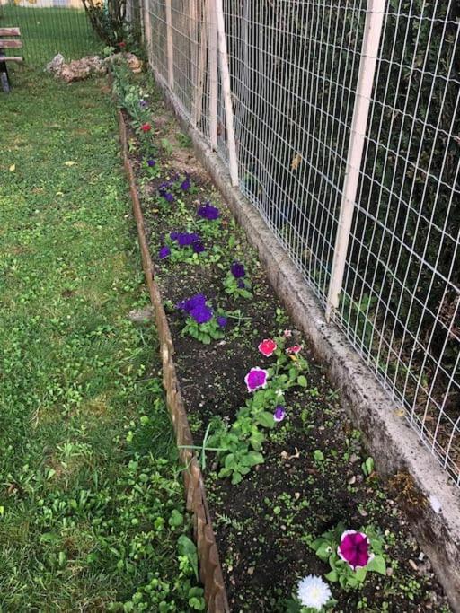 L'oasis Champenois - Terrace, Garden, Wifi Apartment *