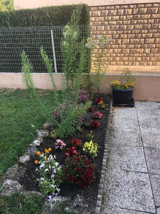 L'oasis Champenois - Terrace, Garden, Wifi Apartment Chalons-en-Champagne