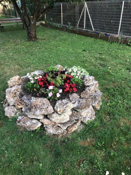 L'oasis Champenois - Terrace, Garden, Wifi Apartment Chalons-en-Champagne