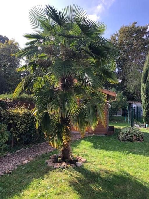 L'oasis Champenois - Terrace, Garden, Wifi Apartment